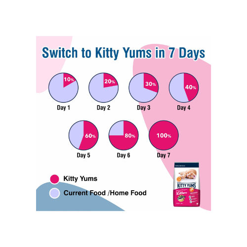 Kitty Yums Kitten (1-12 Months) Dry Cat Food Ocean Fish Flavour 1kg Pack with Free Container Pack