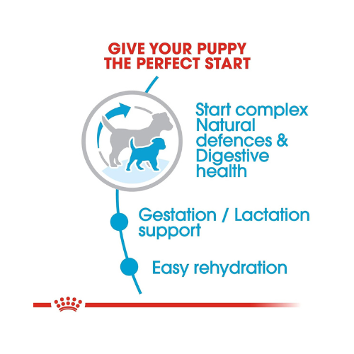 Royal Canin Baby Pellet Dog Food Mini Starter, Meat, 1 kg