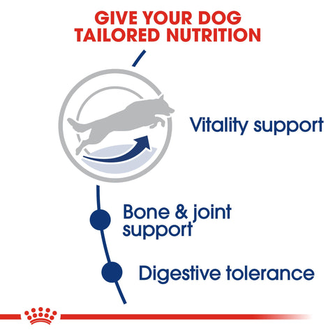 Royal Canin Maxi Adult 5+ Wet Dog Food