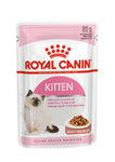Royal Canin Kitten Wet Food