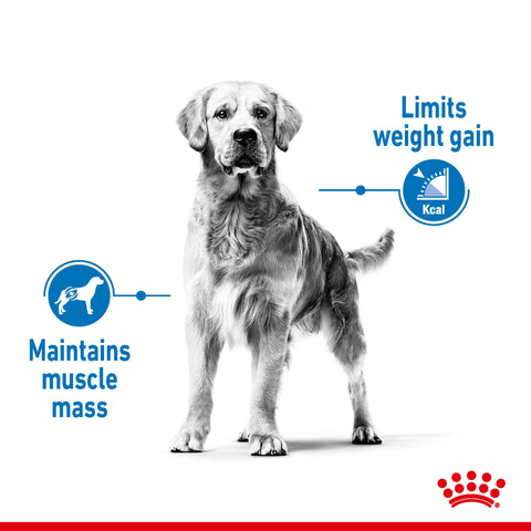 Royal Canin Light Weight Care Maxi Dog Food