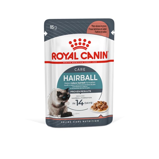 Royal Canin Adult Hairbal Care Gravy Salsa Wet Cat Food Pouches, 10.19 (Pack of 12)