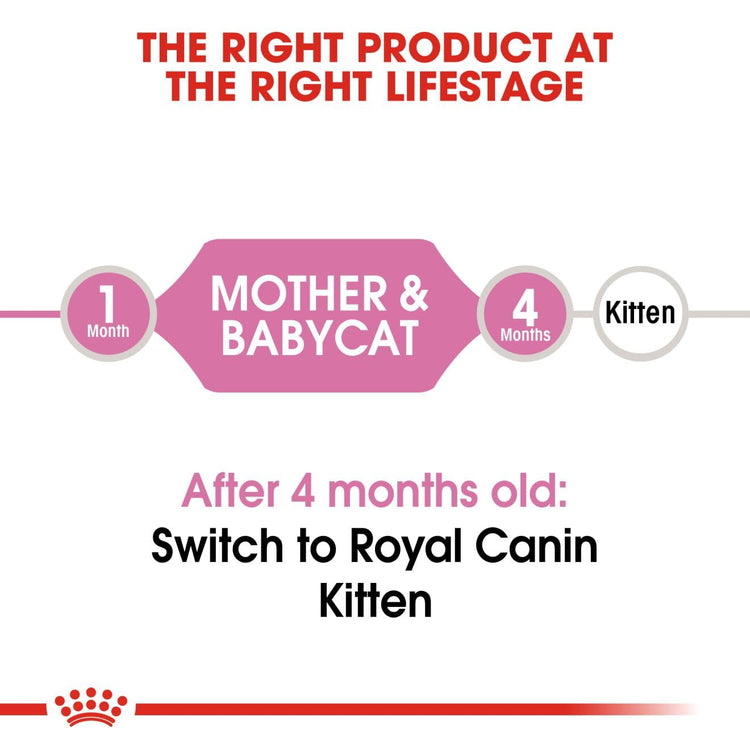 Royal Canin Mother & Baby Dry Cat Food, Meat Flavor, 2000G, 1 Count