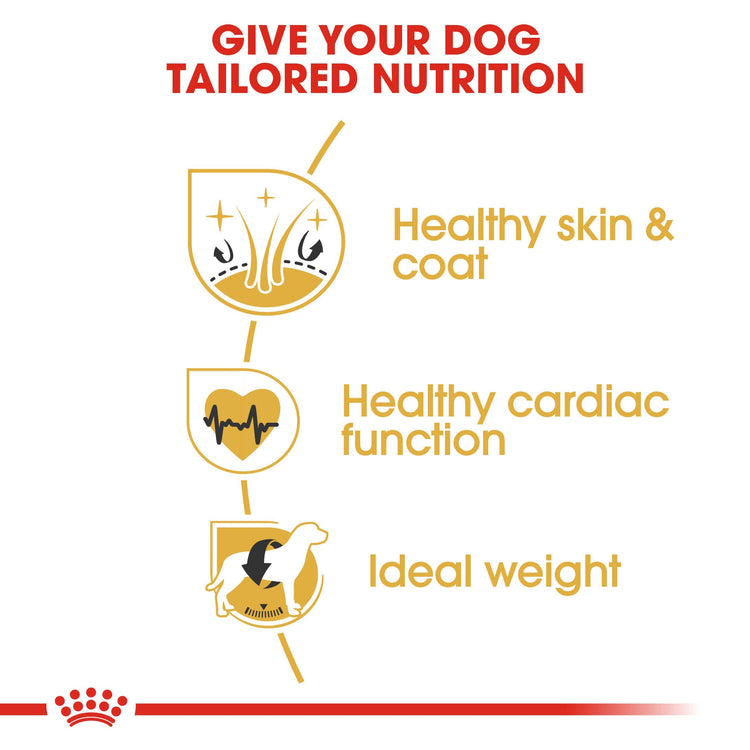 Royal Canin Golden Retriever Adult pack