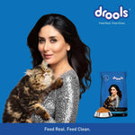 Drools Adult Dry Cat Food Ocean Fish , 7kg Pack