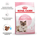 Royal Canin Mother & Baby Dry Cat Food, Meat Flavor, 2000G, 1 Count