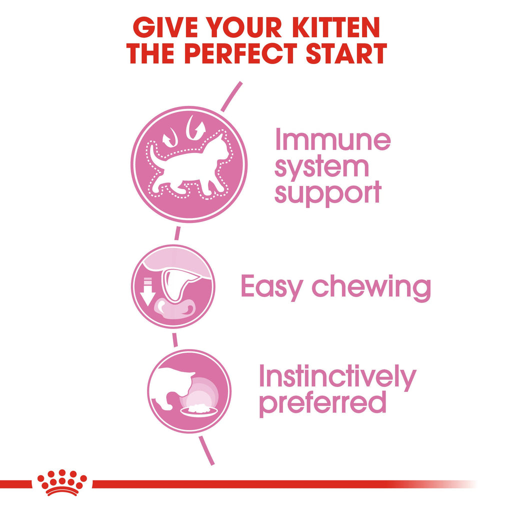 Royal Canin Kitten Jelly pack