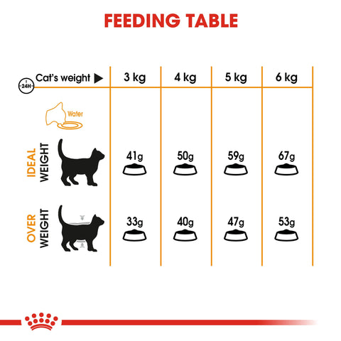 Royal Canin Hair & Skin Care Cat Food