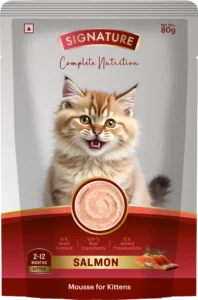 Signature Grain Zero Mousse Kitten Salmon