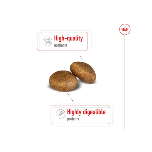 Royal Canin Maxi Adult Pellet Dog Food, Chicken, 4 kg,Pack of 1