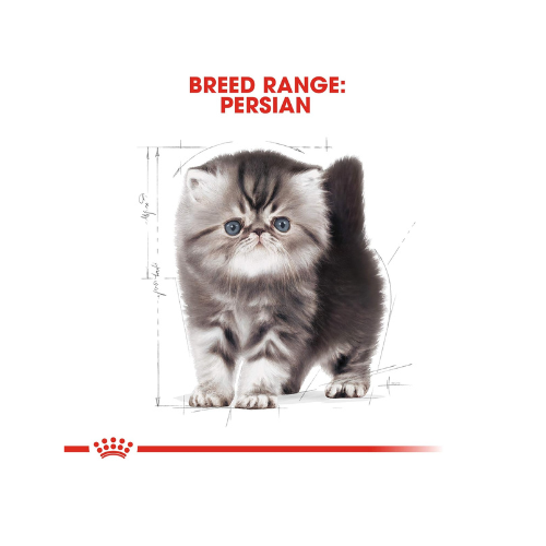 Royal Canin Persian Pellet Cat Food, Variety Flavor, 0.4 Kg,Pack of 1, Kitten, All Life Stages