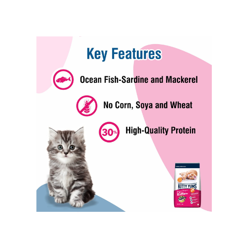 Kitty Yums Kitten (1-12 Months) Dry Cat Food Ocean Fish Flavour 1kg Pack with Free Container Pack