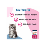 Kitty Yums Kitten (1-12 Months) Dry Cat Food Ocean Fish Flavour 1kg Pack with Free Container Pack