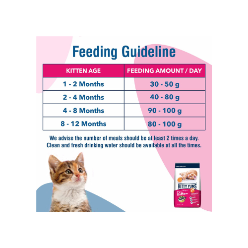 Kitty Yums Kitten (1-12 Months) Dry Cat Food Ocean Fish Flavour 1kg Pack with Free Container Pack