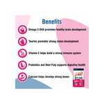 Kitty Yums Kitten (1-12 Months) Dry Cat Food Ocean Fish Flavour 1kg Pack with Free Container Pack