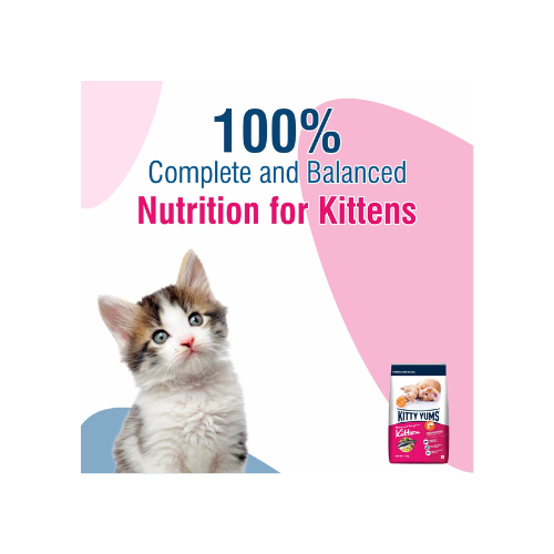 Kitty Yums Kitten (1-12 Months) Dry Cat Food Ocean Fish Flavour 1kg Pack with Free Container Pack