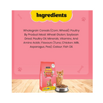 PURINA Friskies Kitten Discoveries Kitten Food,Tuna Chicken Milk Vegetables & Whole Grain Flavours,1 Kg Packet,Granule