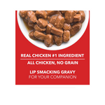Drools Adult Wet Dog Food, Real Chicken and Chicken Liver Chunks in Gravy,10 Pouches + 2 Pouches Free (12 x 60g)