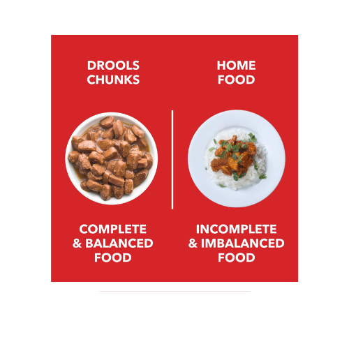 Drools Puppy Wet Dog Food, Real Chicken and Chicken Liver Chunks in Gravy,10 Pouches + 2 Pouches Free (12 x 60g)