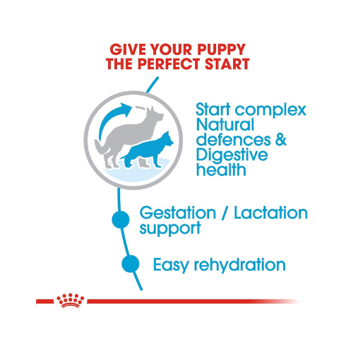 Royal Canin Baby Pellet Dog Food Maxi Starter, Meat, 1 kg