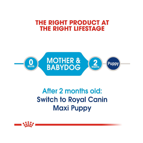 Royal Canin Baby Pellet Dog Food Maxi Starter, Meat, 1 kg