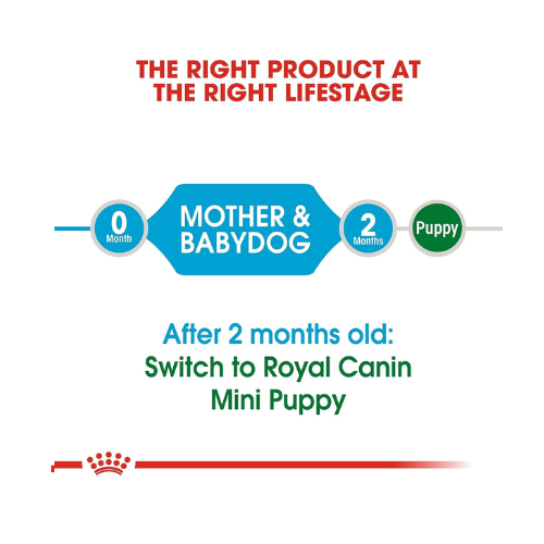 Royal Canin Baby Pellet Dog Food Mini Starter, Meat, 1 kg