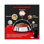 Drools Focus Puppy Super Premium Dry Dog Food, Chicken Flavour, 1.2 KG