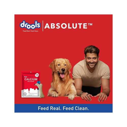 Drools Absolute Calcium Milk Bone for All Life Stages Pouch, 190G,Dogs