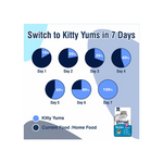 Kitty Yums Persian Adult Dry Cat Food, Ocean Fish, 1.2kg Pack