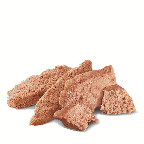Royal Canin Persian Adult Wet Cat Food