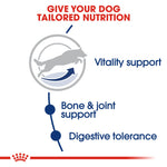 Royal Canin Maxi Adult 5+ Wet Dog Food