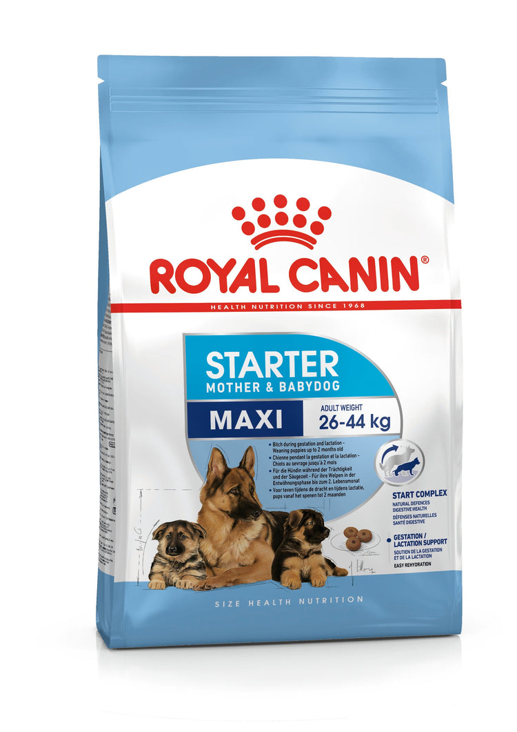 Royal Canin Maxi Starter Mother & Babydog Food