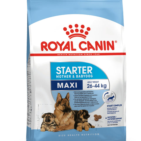 Royal Canin Maxi Starter Mother & Babydog Food