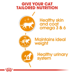 Royal Canin Intense Beauty Gravy pouches