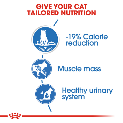 Royal Canin Wet Light Weight Care Cat Food