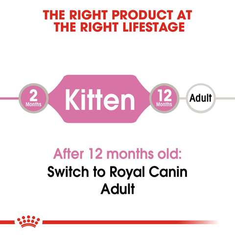 Royal Canin Kitten Wet Food