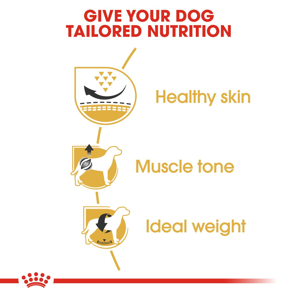 Royal Canin Pug Adult pack