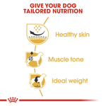 Royal Canin Pug Adult pack