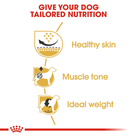 Royal Canin Pug Adult Dog Food