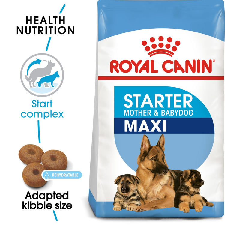 Royal Canin Maxi Starter pack
